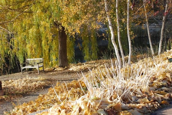 Centennial Lakes Park by null