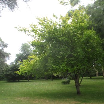 Umpherston Cave - Upper Gardens - Landmarks & Historical Buildings Near Me - Mount Gambier, SA
