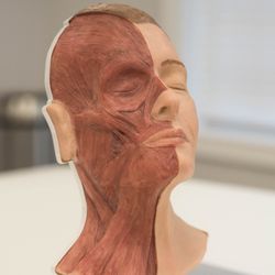 Age-Less Weigh-Less