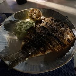 Sea Grill - Grilled sea-bass.