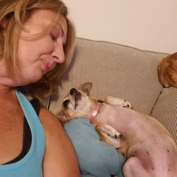 Cuddles & Care - Pet Sitting Near Me