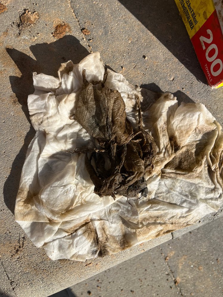 Slide of The Pipe Doctor