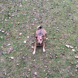 Orangefield Park