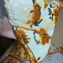 My favorite slice! Fresh mozzarella