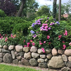 Tomfort Gartenbau - Gartenpflege