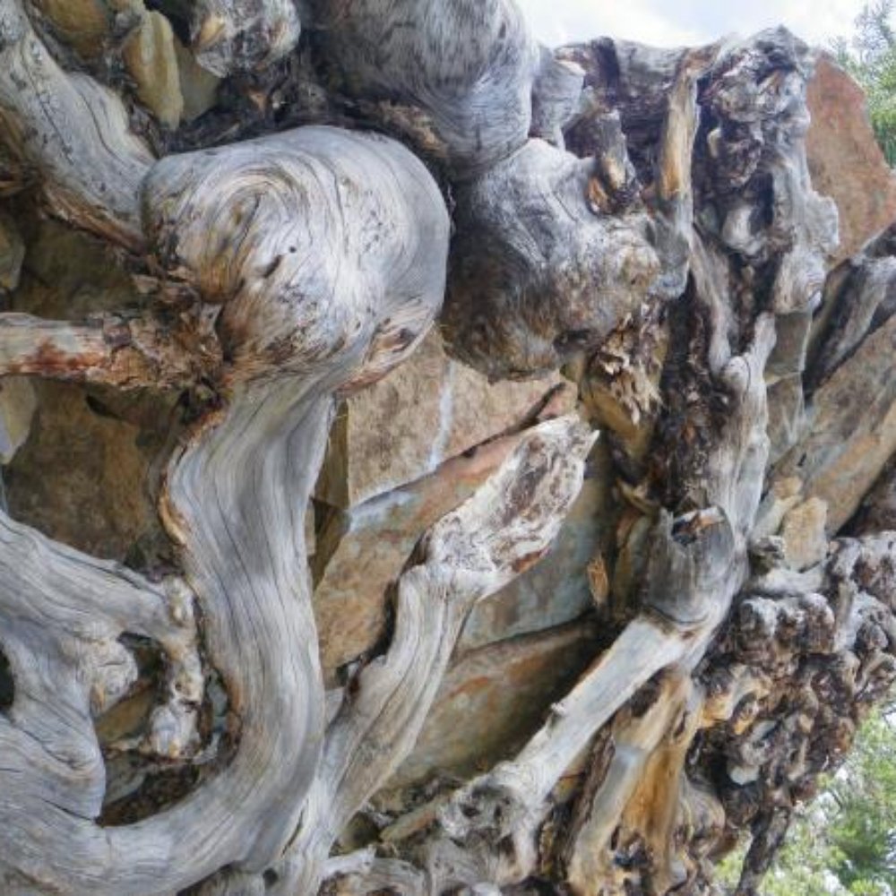 Devil's Postpile National Monument - Landmarks & Historical Buildings Near Me - Mammoth Lakes, California Devil's Postpile National Monument - Landmarks & Historical Buildings Near Me - Mammoth Lakes, California