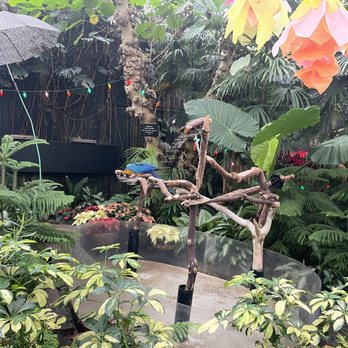 Bloedel Conservatory - Botanical Gardens Near Me - Vancouver, British Columbia