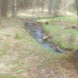 McCalls Dam State Park