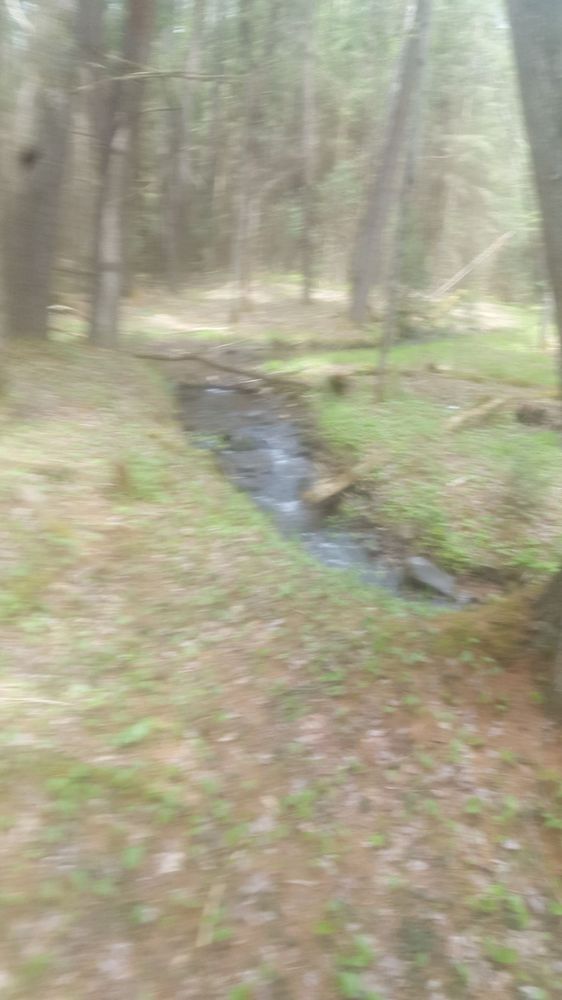 MCCALLS DAM STATE PARK Updated May 2024 21 Photos 1258 McCalls