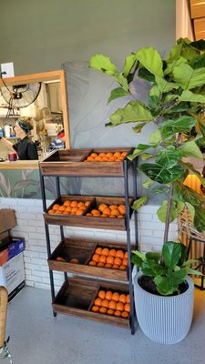 ALL YOU NEED - SUNNY by null