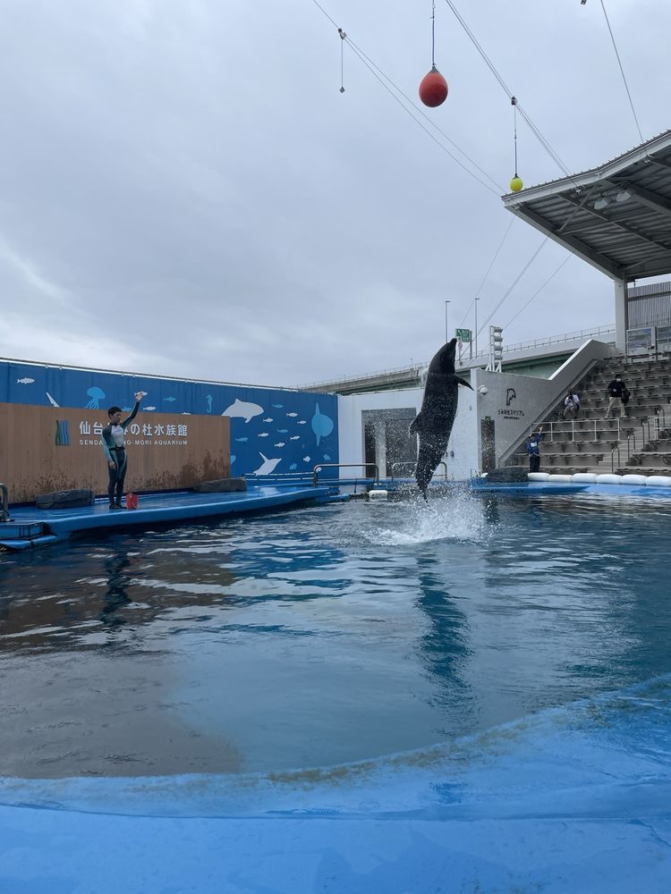 Sendai Umino Mori Aquarium