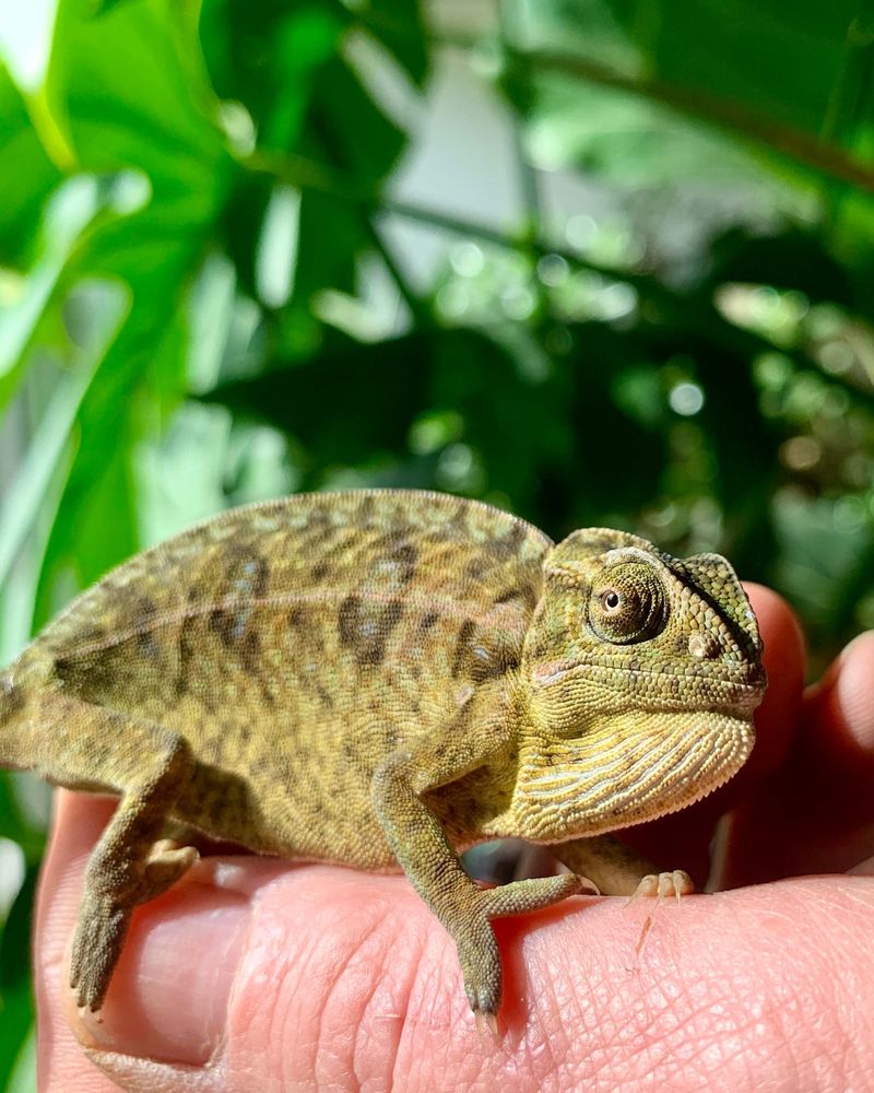 THE WORLD OF FISH AND PETS Updated July 2024 2268 Coventry Road