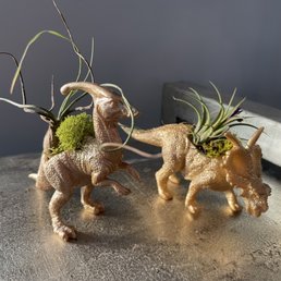 The most clever planters ever conceived