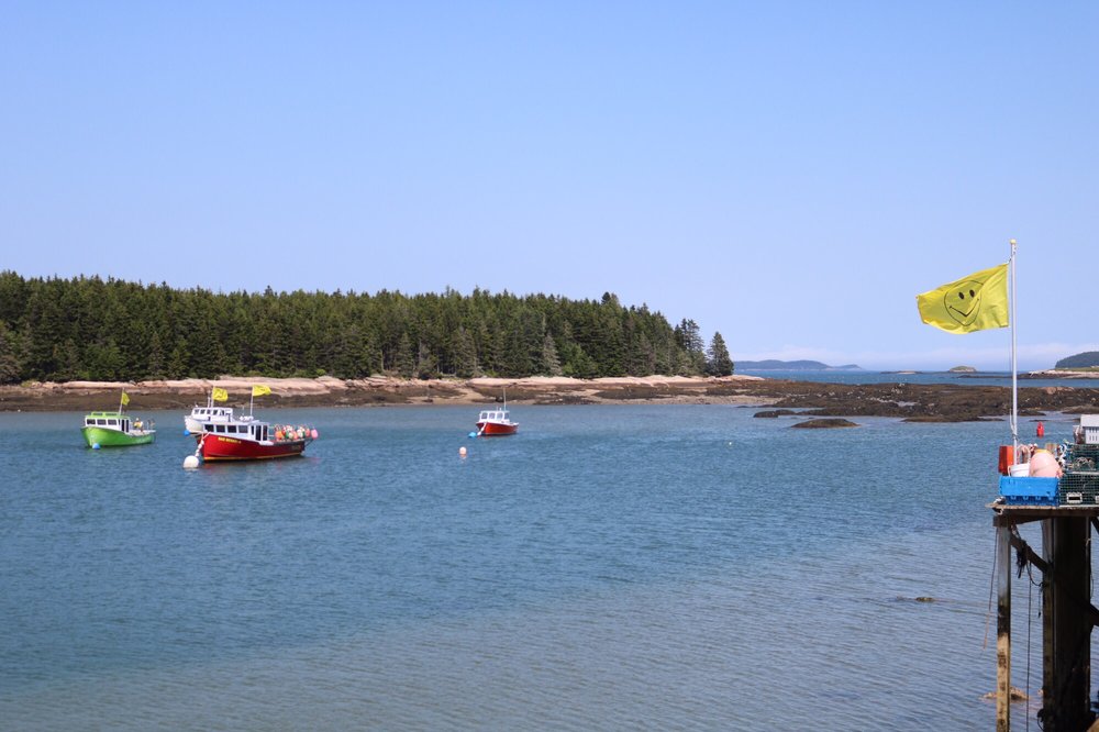 Cottonwood Camping & RV Park - equestrian in Columbia Falls, ME