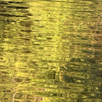 Wissahickon Park - Trees reflected on the creek's water in May - Parks Near Me - Philadelphia, Pennsylvania Wissahickon Park - Trees reflected on the creek's water in May - Parks Near Me - Philadelphia, Pennsylvania