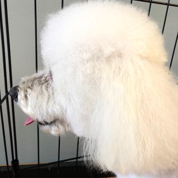 Humble Abode Pet Spa - Pet Groomers Near Me - Rex, Georgia