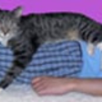 Beaming Hands - Reiki Near Me - Torrance, California Beaming Hands - Reiki Near Me - Torrance, California