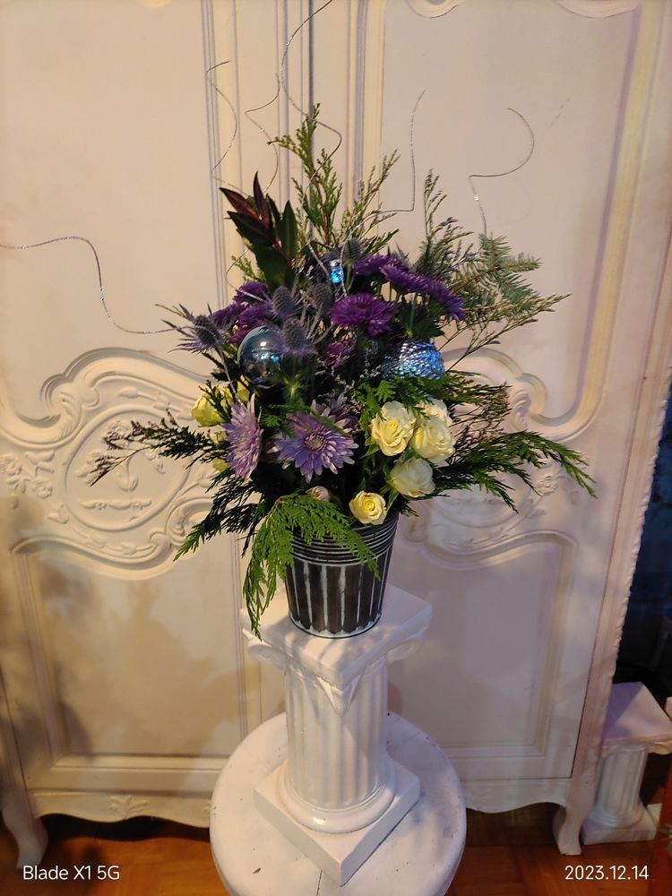 WALL FLOWERS Updated September 2024 Request Information 16 Photos