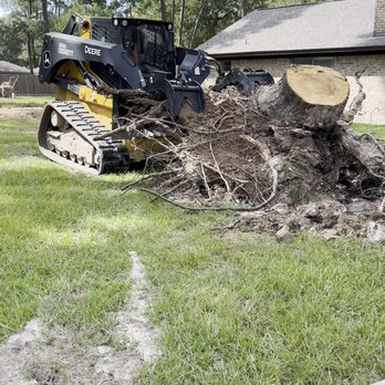 The J Team Tree Service - Tree Services Near Me The J Team Tree Service - Tree Services Near Me