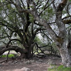 Crane Creek Regional Park
