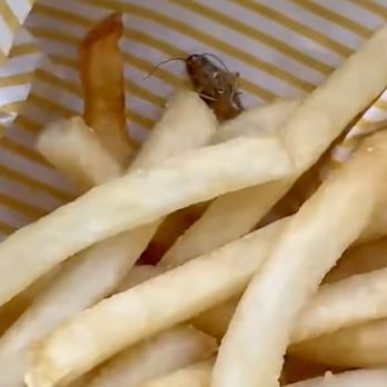 McDonald's - Basket of fries with roach - Fast Food Near Me - Flatonia, Texas