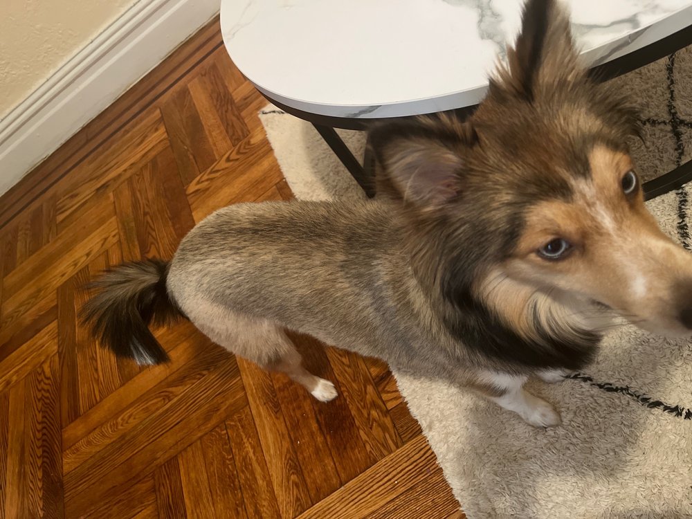 KINGSPA NYC Updated September 2024 22 Photos 2244 Creston Ave