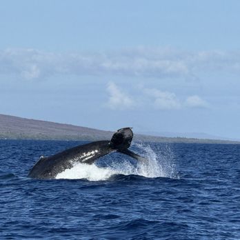 Makai Adventures - Boat Charters Near Me - Lahaina, Hawaii