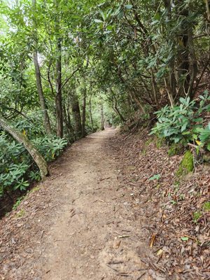 Hungry Mother State Park by null