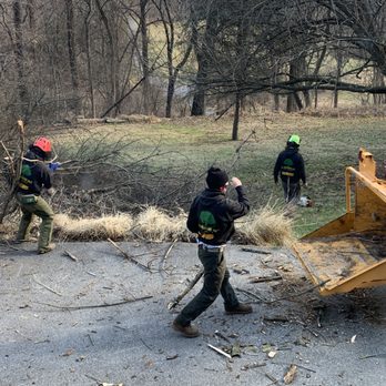 All Branched Out Tree Service - Tree Services Near Me - Walkersville, Maryland All Branched Out Tree Service - Tree Services Near Me - Walkersville, Maryland