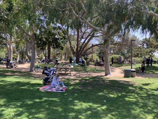Douglas Park by null