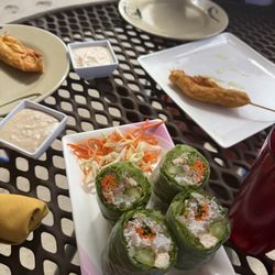 Ubon Thai - Spring rolls and chicken satay