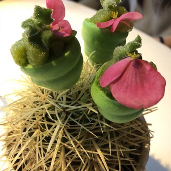 ABaC Restaurante - Lime cactus, tequila and green leaves - Spanish Near Me - Barcelona, B