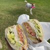 Sandwich Zone gift card