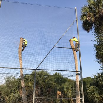 Divine Design Tree Management - Get it done - Tree Services Near Me