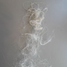 Hair that she burned off my head that came out in my brush Hair that she burned off my head that came out in my brush
