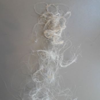 Fringe Salon - Hair that she burned off my head that came out in my brush - Hair Salons Near Me - Burlingame, California Fringe Salon - Hair that she burned off my head that came out in my brush - Hair Salons Near Me - Burlingame, California