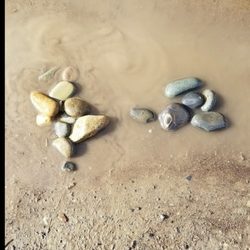 Steve's Rock 'n Ready Mix