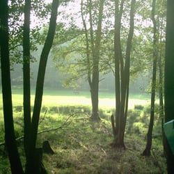 Hirschbrunft im Wildwald Voßwinkel - Untere Wiese