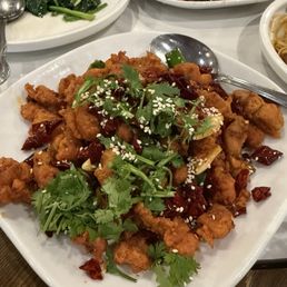 Spicy and Crispy Chicken Spicy and Crispy Chicken