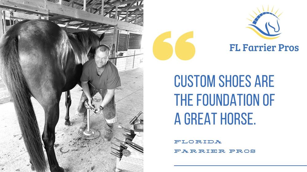 FLORIDA FARRIER PROS Updated October 2024 Morriston, Florida