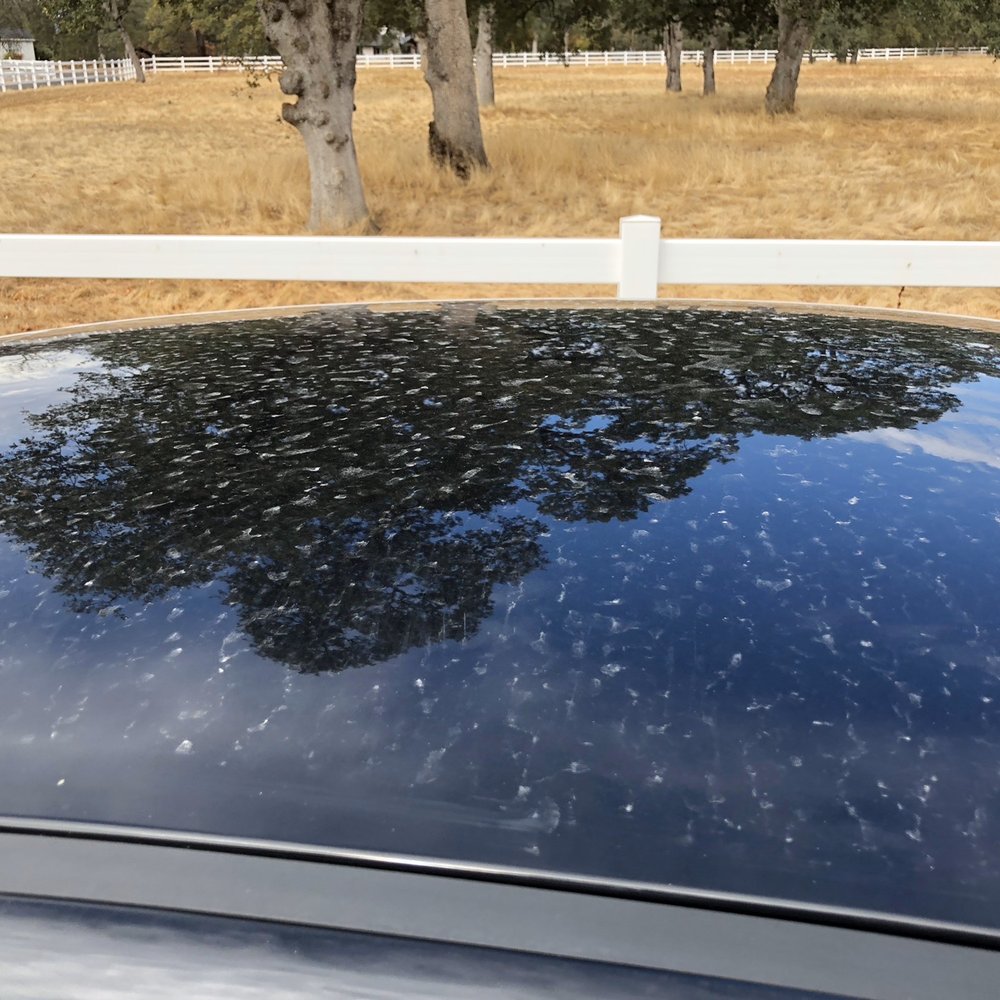 SJ Denham Collision Repair Center - How I got my car back. Covered from end to end in Bondo dust. Not from my car. - Body Shops Near Me - Redding, California