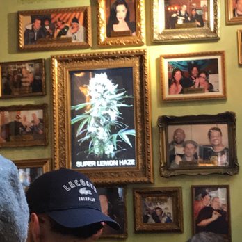 Greenhouse - Coffeeshops Near Me - Amsterdam, New Hampshire