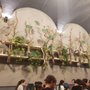 Photo of Sumo Sushi
