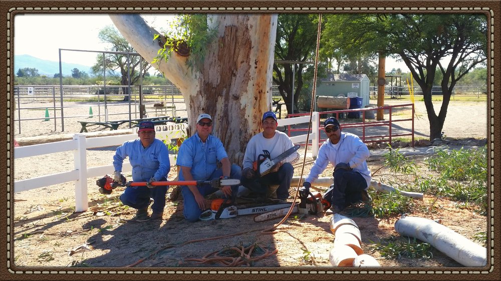 Green Leaf Solutions - tree service in Tucson, AZ