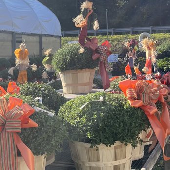 Freshwater Farms - Mum planters for fall - Nurseries & Gardening Near Me - Atkinson, New Hampshire