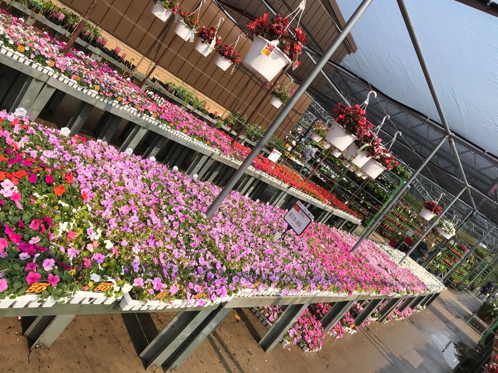 STEIN’S GARDEN & HOME 25 Photos & 23 Reviews Nurseries & Gardening