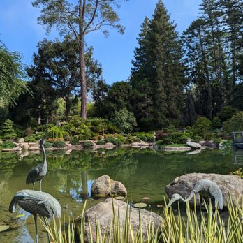Lotusland - Japanese garden - Botanical Gardens Near Me - Santa Barbara, California Lotusland - Japanese garden - Botanical Gardens Near Me - Santa Barbara, California