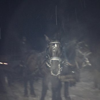 Rocky Mountain Outfitters - Dark path for the lights, hard to take pictures - Horseback Riding Near Me - Midway, Utah Rocky Mountain Outfitters - Dark path for the lights, hard to take pictures - Horseback Riding Near Me - Midway, Utah