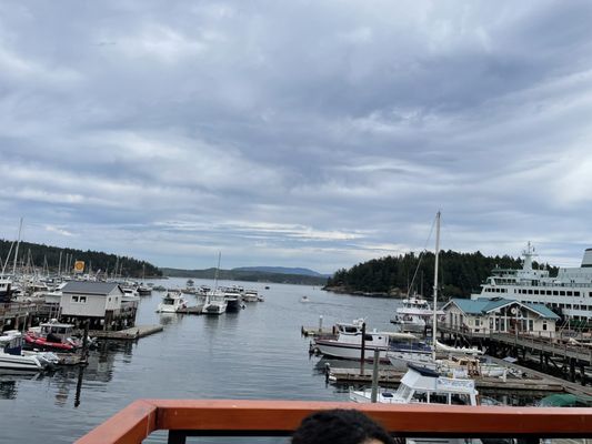 Downriggers - Friday Harbor by null