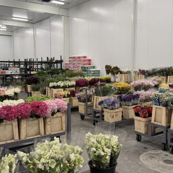 SF Flower Market - plants in refrigeration unit - Florists Near Me - San Francisco, California